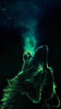 Wolf Wallpaper Iphone 2