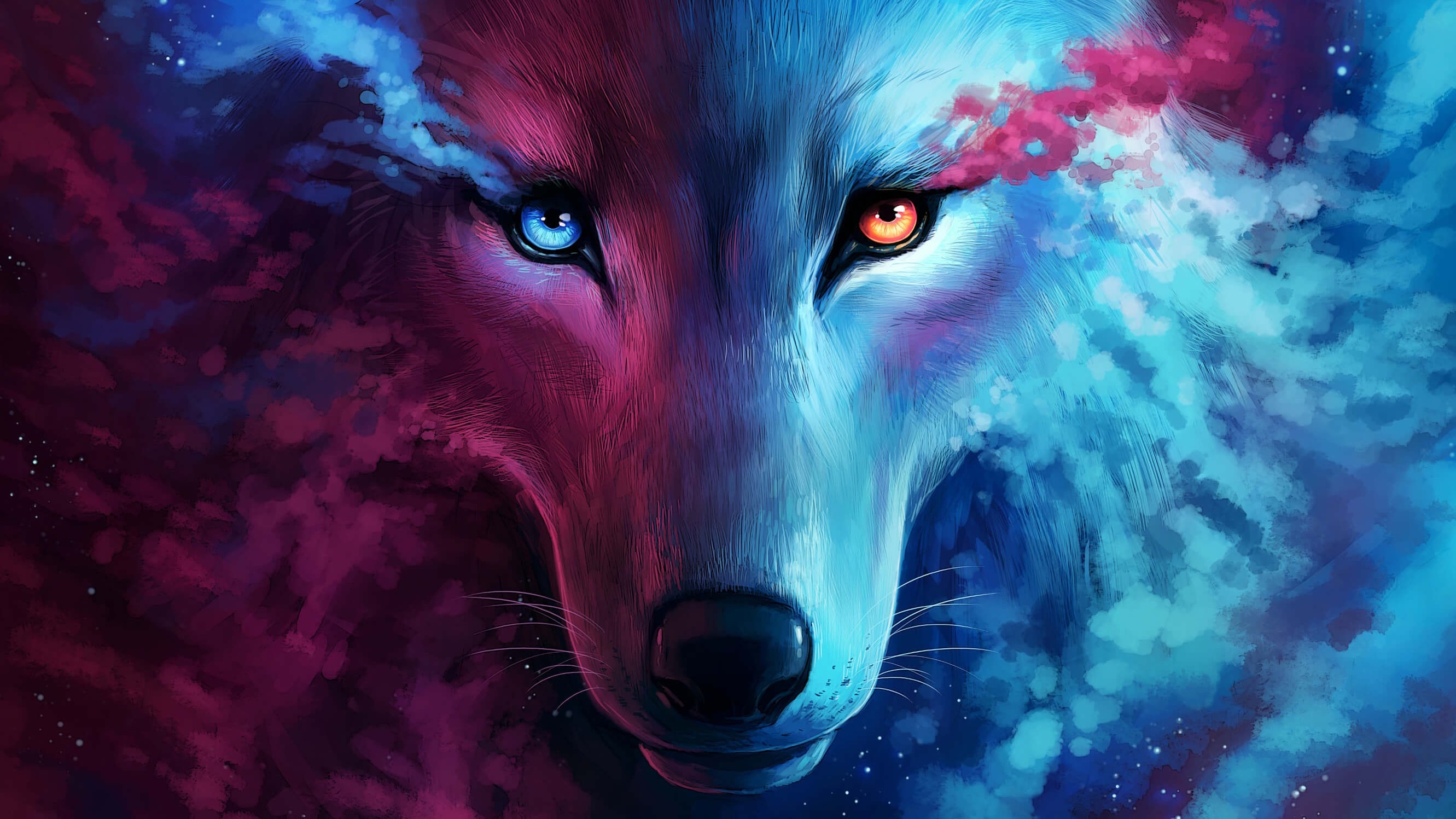 Wolf Wallpapers 4k Kolpaper Awesome Free Hd Wallpapers