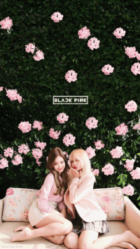 Blackpink Lockscreens Iphone