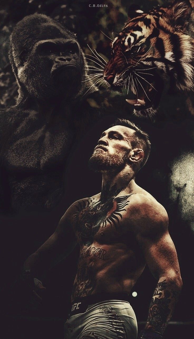 The Notorious Mcgregor Wallpaper 1 The Notorious Mcgregor Wallpaper