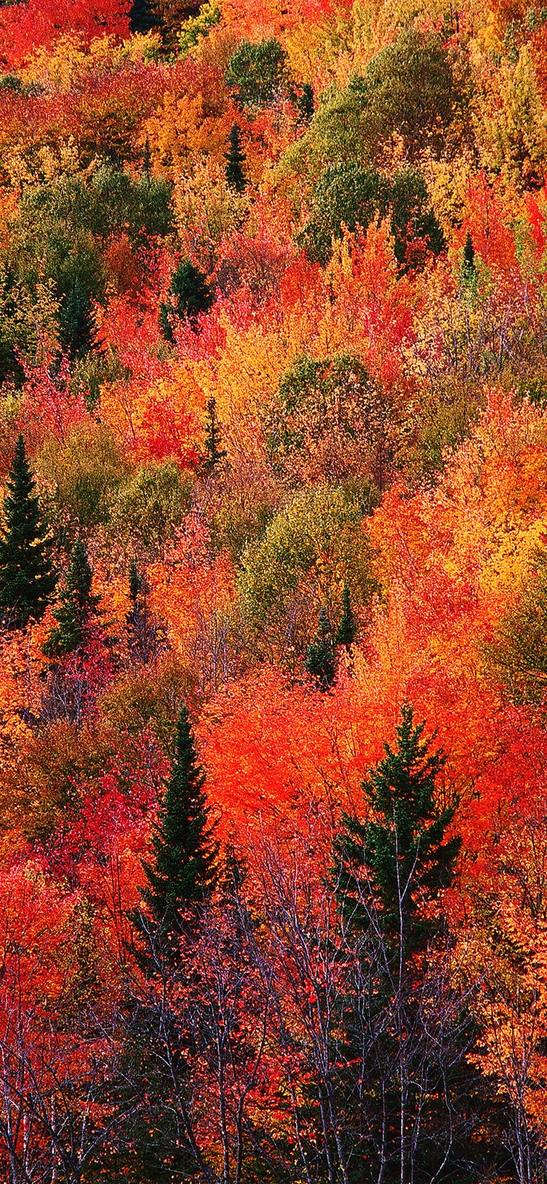 Best Autumn Wallpapers - typikalempire