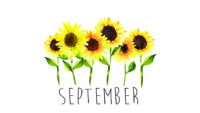 September Wallpaper HD