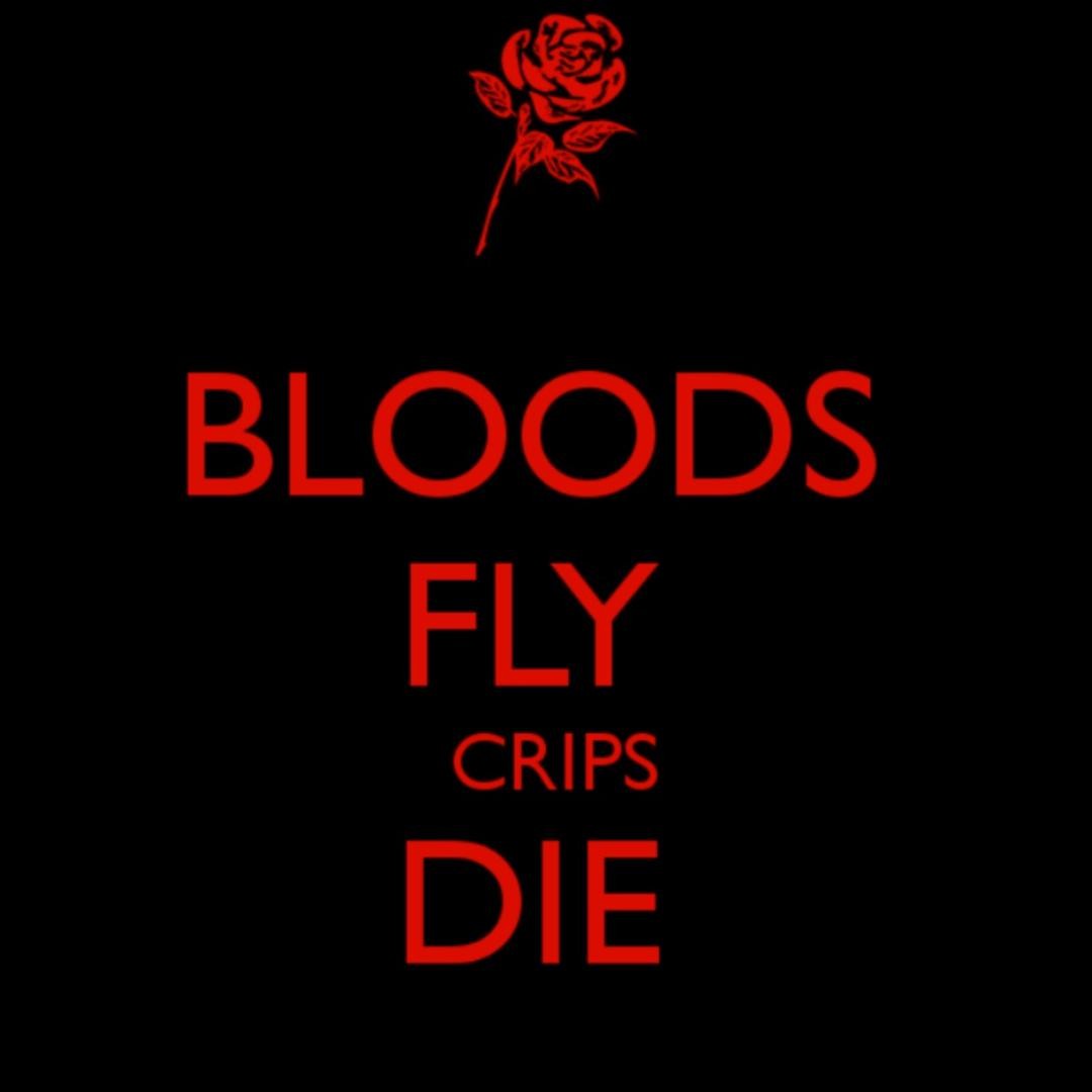 Bloods Fly Crips Die Wallpaper