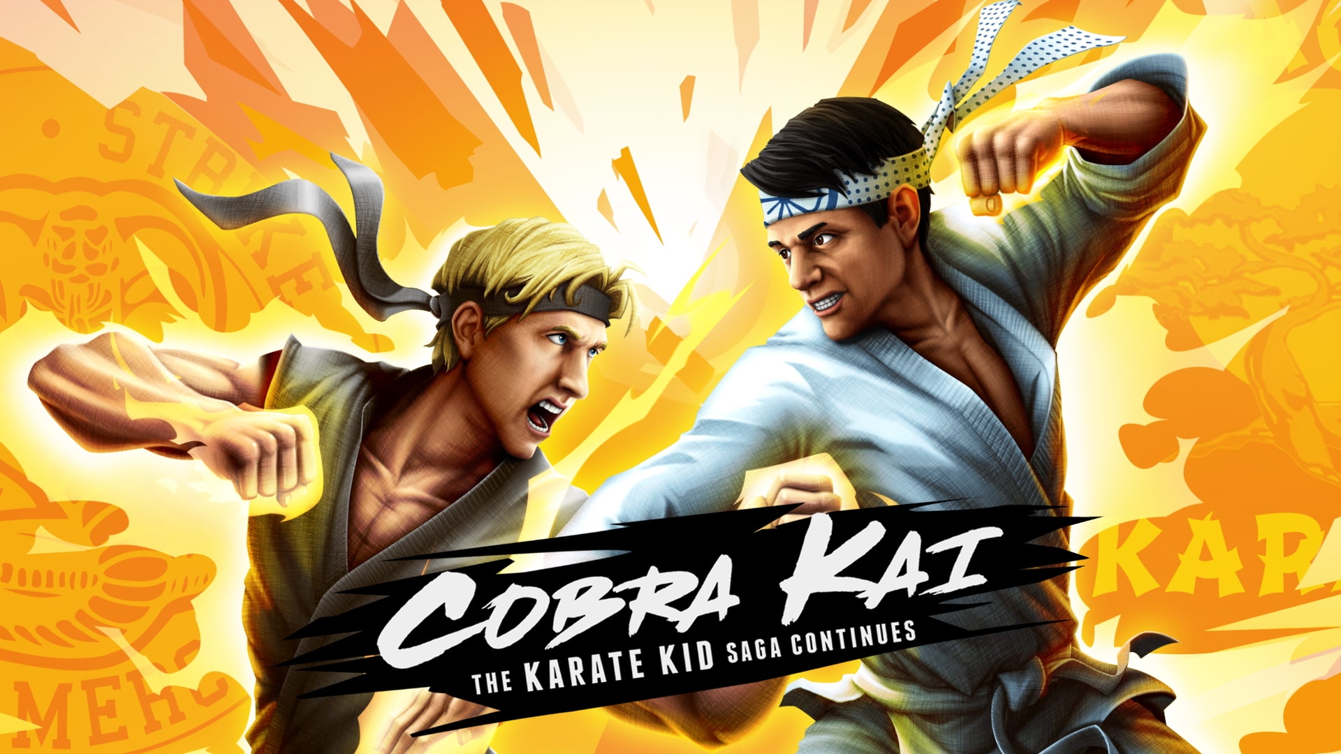 Cobra Kai Backgrounds