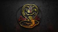 Cobra Kai HD Wallpaper