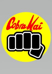 Cobra Kai Iphone Wallpaper