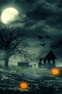 Halloween Night Wallpapers