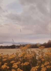 Indie Aesthetic Wallpapers