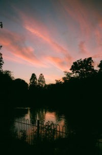 Indie Live Wallpaper