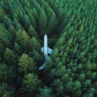 Ipad Air Forest and Plane Wallpaper