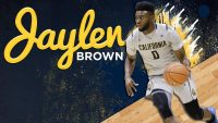 Jaylen Brown HD Wallpaper