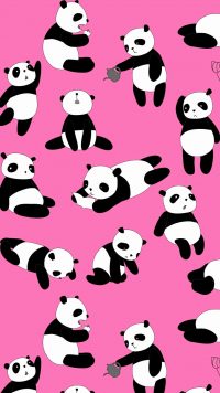 Kawaii Panda Wallpapers