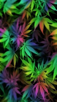 Weed Wallpaper Android