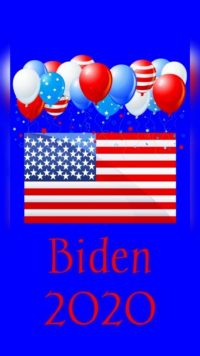 Biden Wallpaper 2