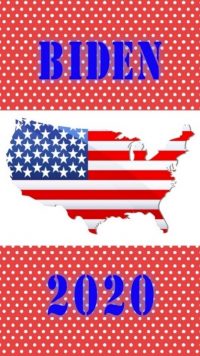 Biden Wallpaper 2020 2
