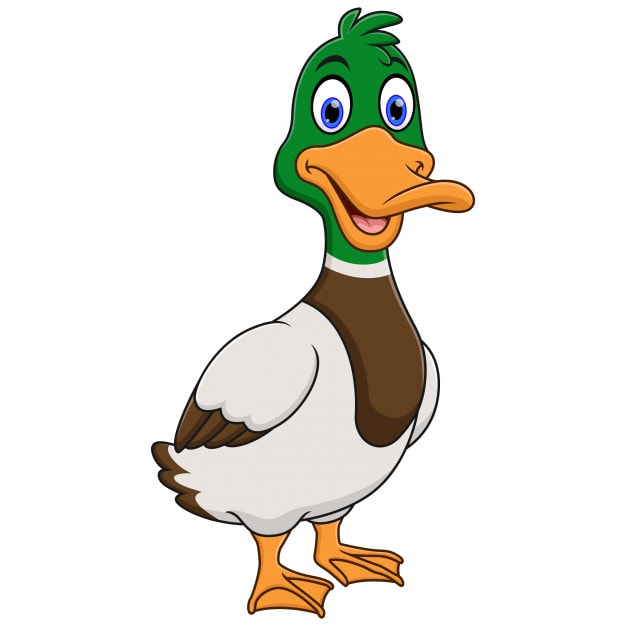 Iphone Walking Duck Wallpaper KoLPaPer Awesome Free HD Wallpapers