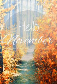 November Background