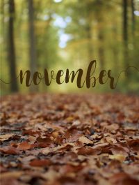 November Background iPhone