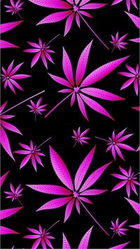 Pink Weed Wallpaper