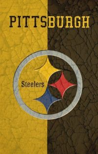 Pittsburgh Steelers Wallpaper 8