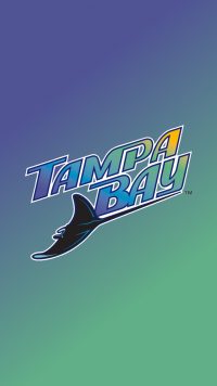 Tampa Bay Rays Wallpapers 2