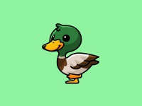 Walking Duck Desktop Wallpaper