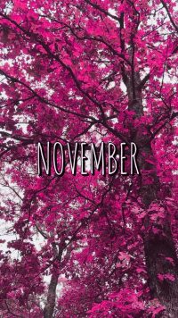 iPhone November Wallpaper