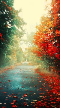 Aesthetic Autumn Foliage Wallpaper 2