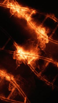 Aesthetic Fire Wallpaper 4