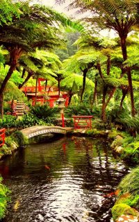 Aesthetic Garden Wallpaper