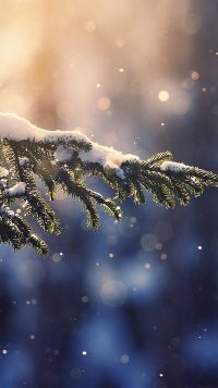 Aesthetic Snow Wallpaper 2