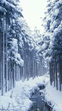 Aesthetic Snow Wallpaper