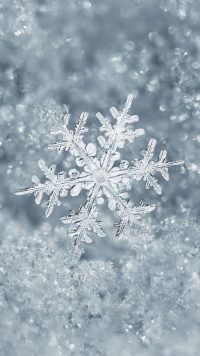 Aesthetic Snowflake Wallpaper 3