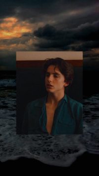Aesthetic Timothee Wallpapers