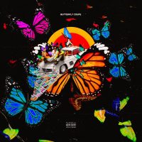 Aesthetic Vlone Butterfly Wallpaper 2