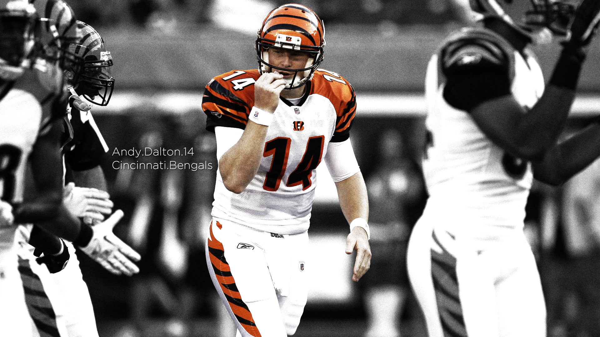 Andy Dalton HD Wallpaper - KoLPaPer - Awesome Free HD Wallpapers