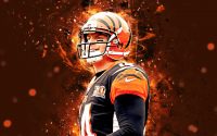 Andy Dalton Wallpaper 4K