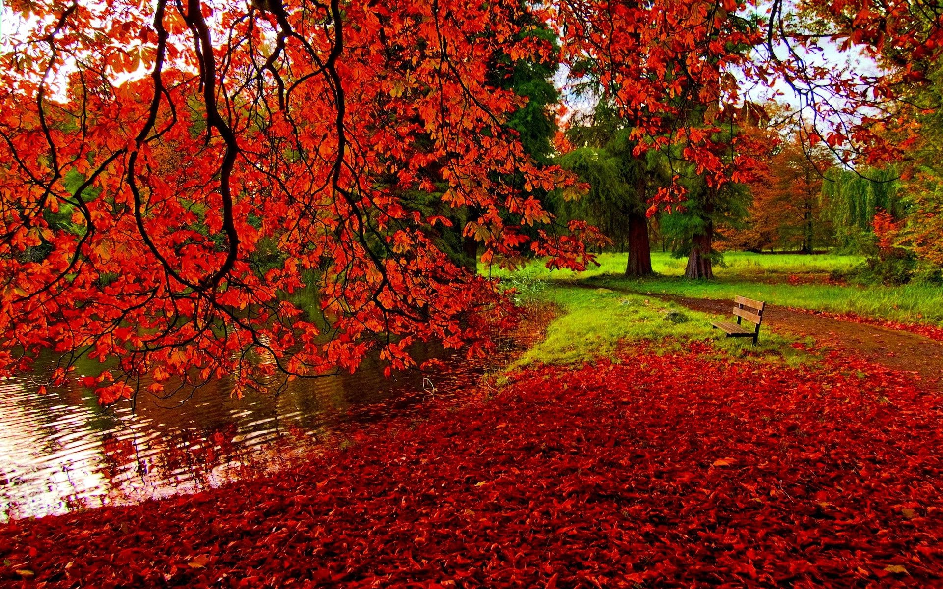 Autumn Leaves Wallpaper Desktop - KoLPaPer - Awesome Free HD Wallpapers