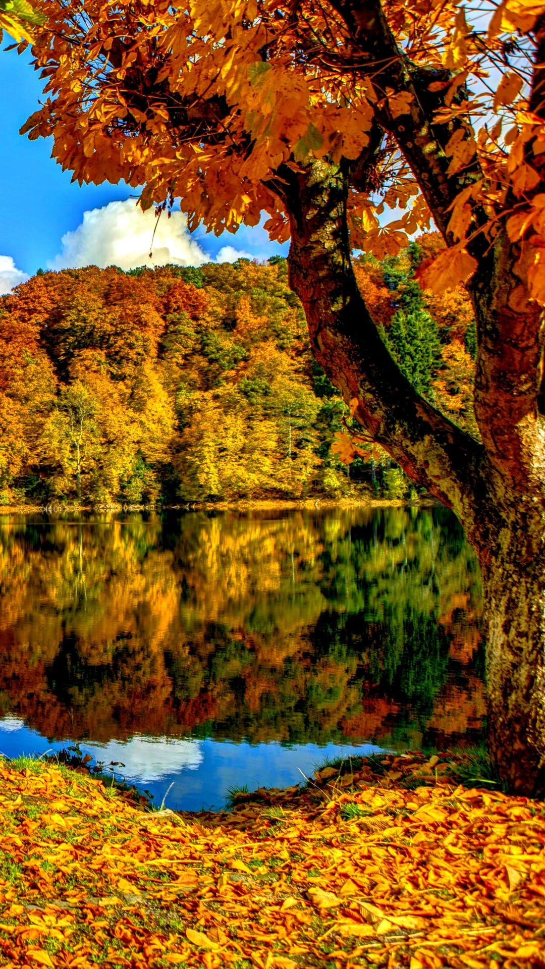 Autumn Themed Wallpapers - KoLPaPer - Awesome Free HD Wallpapers