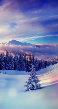 Beautiful Snow Wallpaper 2