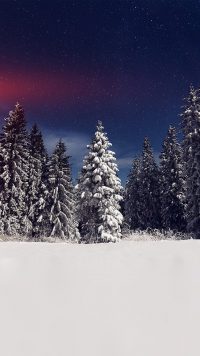 Best Snow Wallpaper