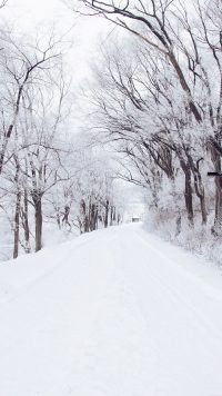Best Snow Wallpapers