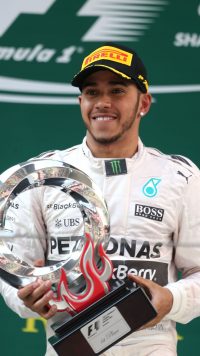 Champion Lewis Hamilton Wallpaper