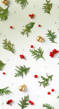 Christmas Background 4