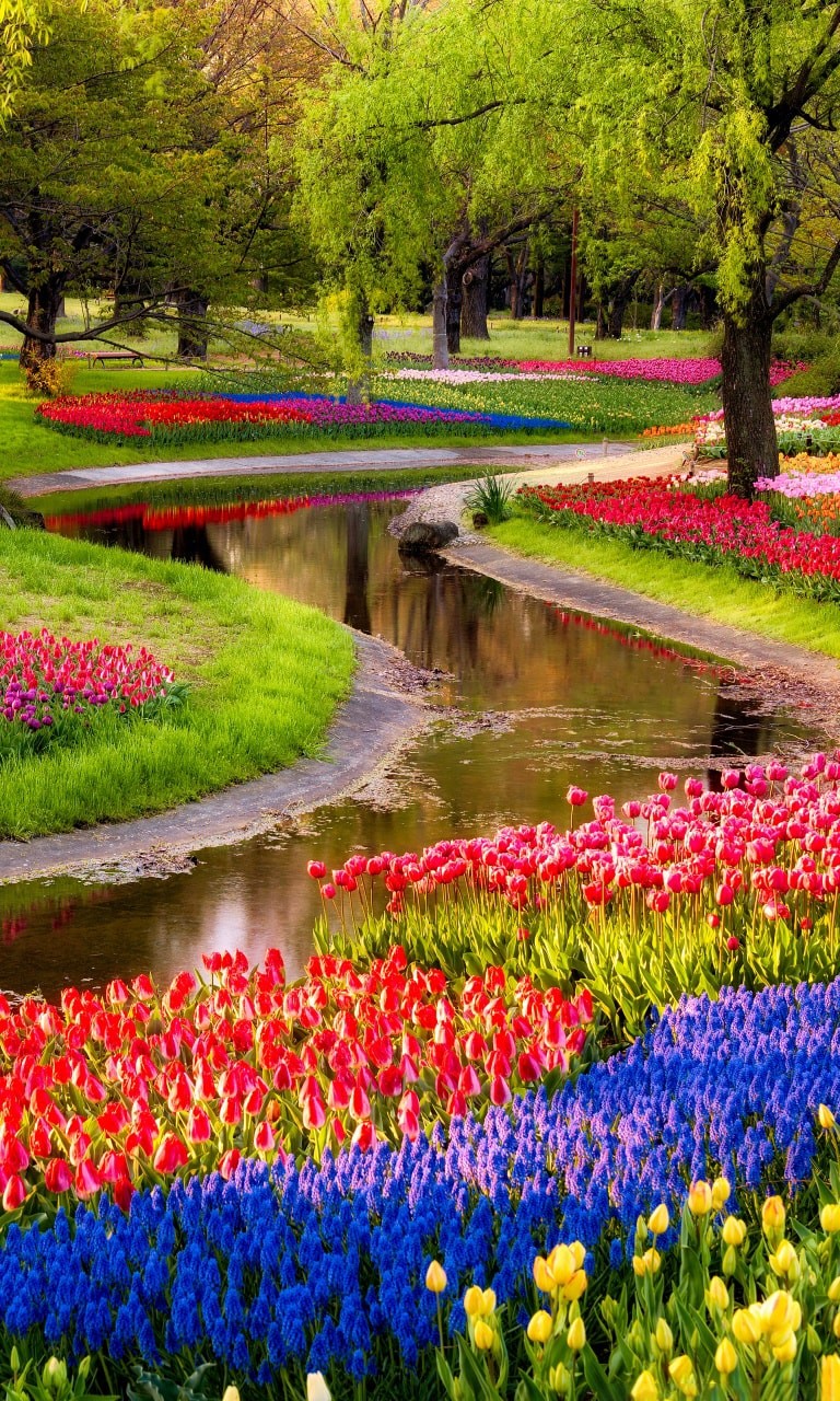 Colorful Garden Wallpaper