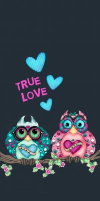 Couple Owl Wallpaper