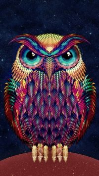 Cute Owl Wallpaper