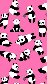 Cute Panda Wallpaper 3