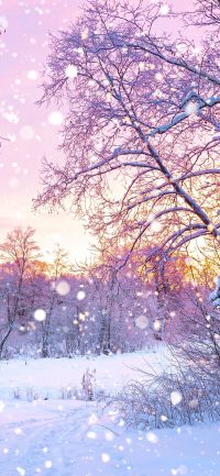 Cute Snow Wallpaper