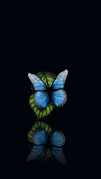 Cute Vlone Butterfly Wallpaper